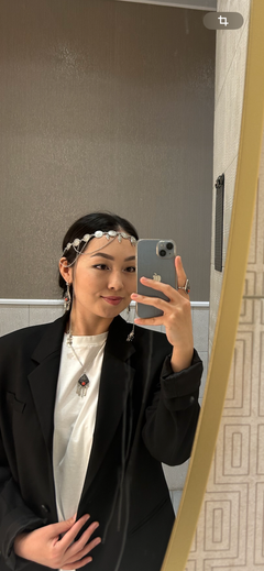 ai_saulesha