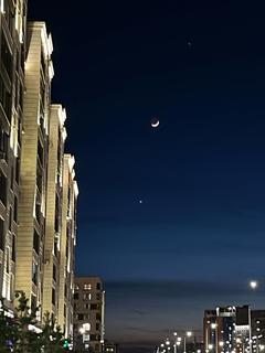 moonlightbabe