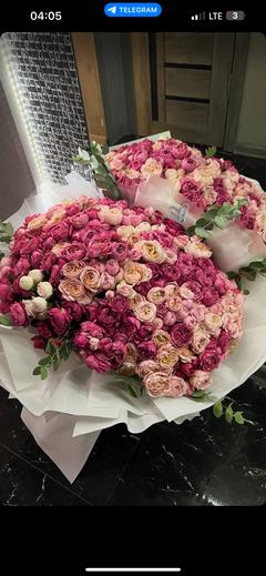 user_997903ak