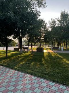 tomyka