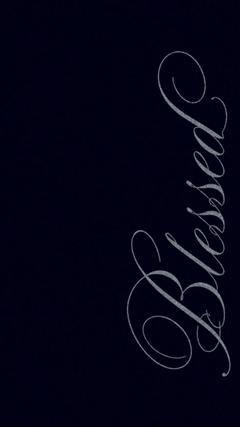 user111333300022