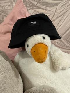 The_goose2