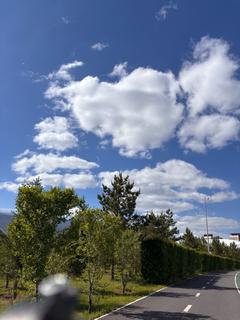 pumi