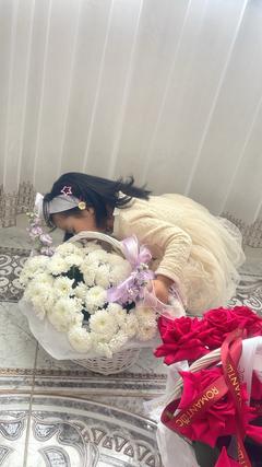 alma_gul