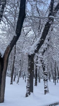 almaty.99