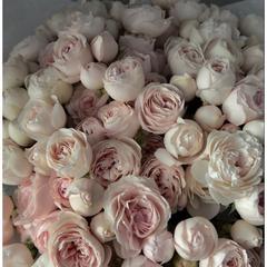 For_you