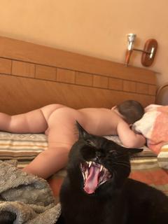o_renishii
