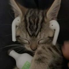 Dilyaaaa