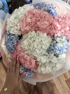 Ailina_s