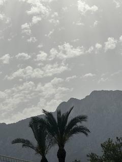 axsaule.a