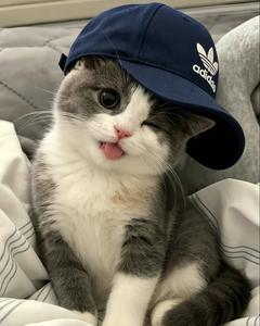 symbat__