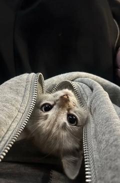 user_ih31rontxr