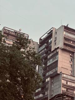 user_zhaneka01