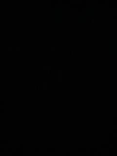 zaraa_07