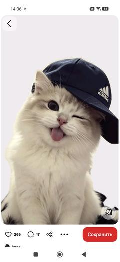 Amba7