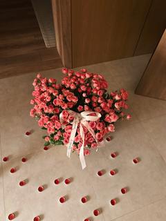 myshka_