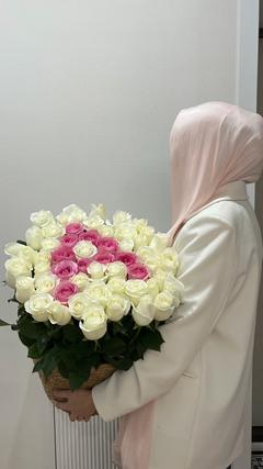 alima_kuttybi