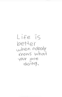 user.z