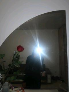 sdzhmr