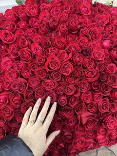 Aru_12345