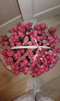 user_elle_
