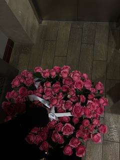 user_saud