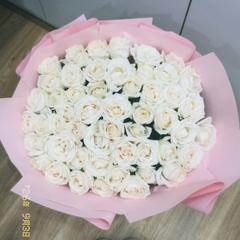 Aluasshkaa