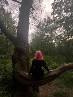 missulb_00
