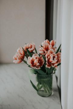 user_9s2qoknadu