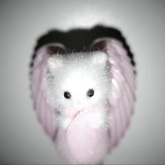 anaelpiskaa