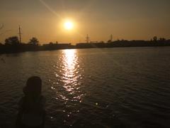 amina.zh