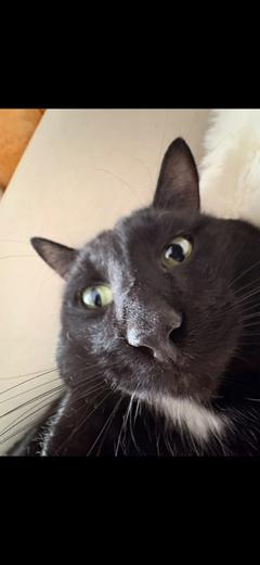 aishewxx_