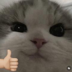 nursxj