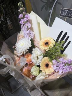 noname11111