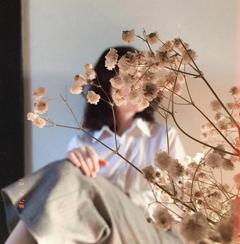 assai_01
