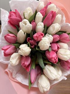 user_box8dmtv9i