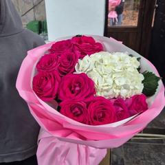 user_wgghxfdz24