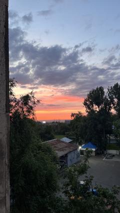 tomiris_r