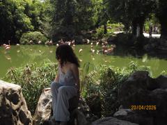 petitetartee