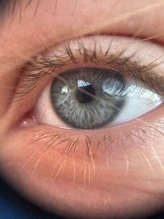 Im.julia