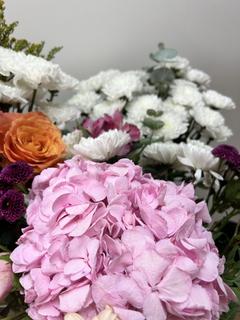 user_aj542xlbq1