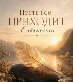 Elya_80
