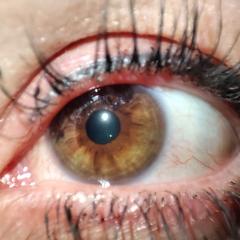 karish_n1