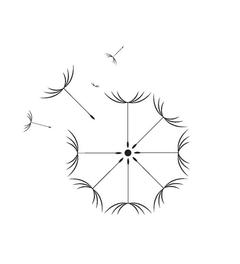 SecondWindCo.