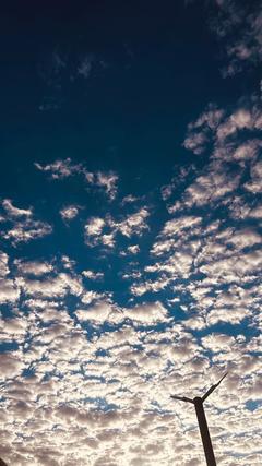 user_0717as