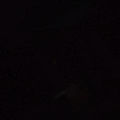 user_3948