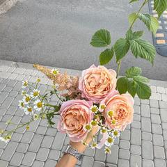Wearmeblessed