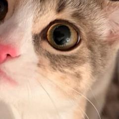 user_965iov73sf