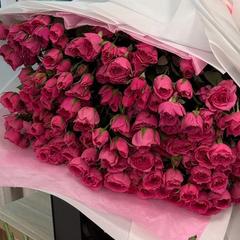 guli_07.07