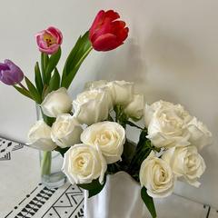 Molya_S